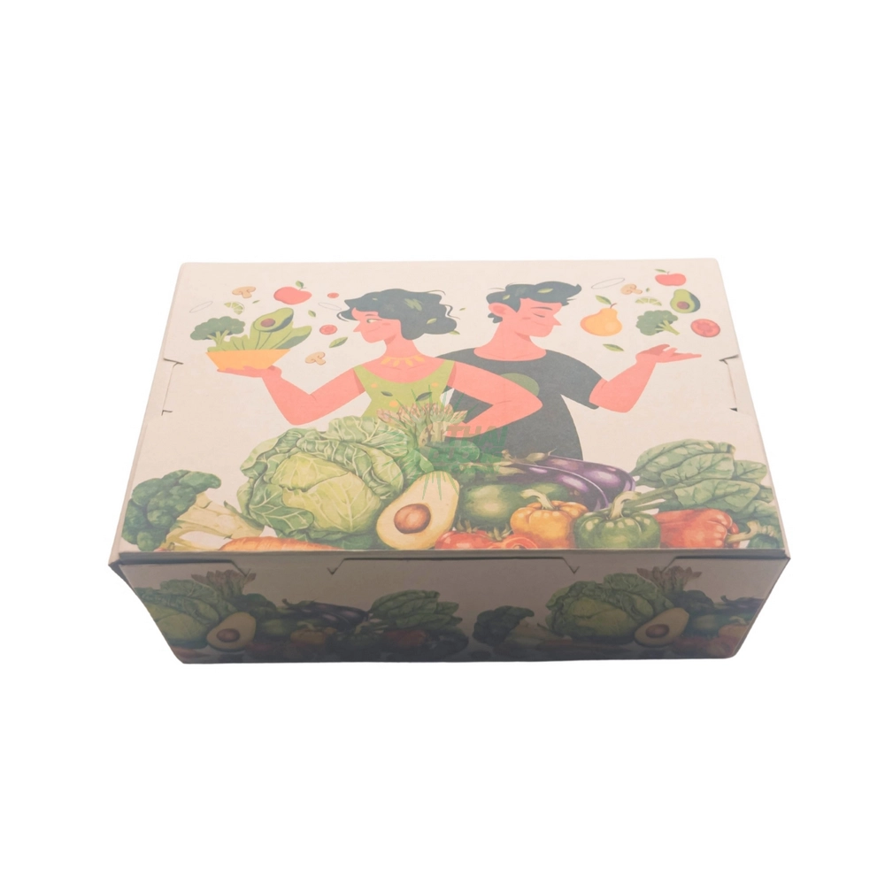 HỘP GIẤY TAKEAWAY KRAFT MẪU IN SẴN THÁI DƯƠNG
