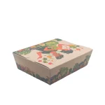 HỘP GIẤY TAKEAWAY KRAFT MẪU IN SẴN THÁI DƯƠNG