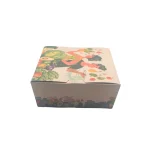 HỘP GIẤY TAKEAWAY KRAFT MẪU IN SẴN THÁI DƯƠNG