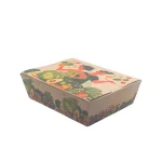 HỘP GIẤY TAKEAWAY KRAFT MẪU IN SẴN THÁI DƯƠNG